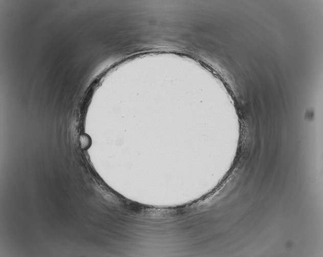 X0000116481163201001201336