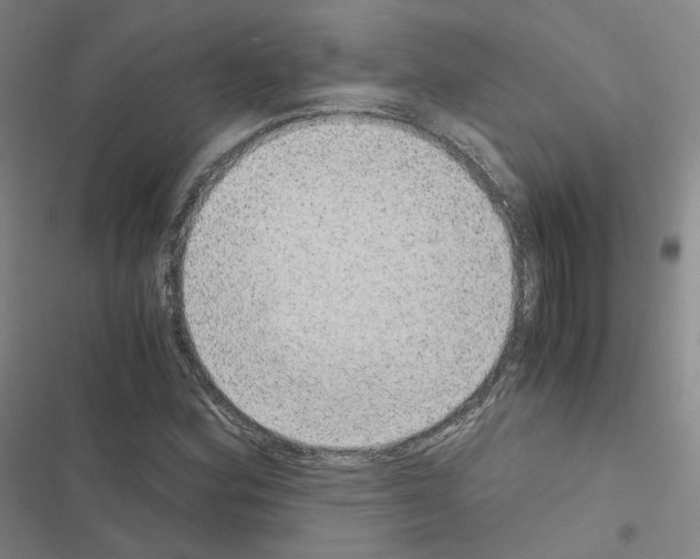 X0000116481164201001201336