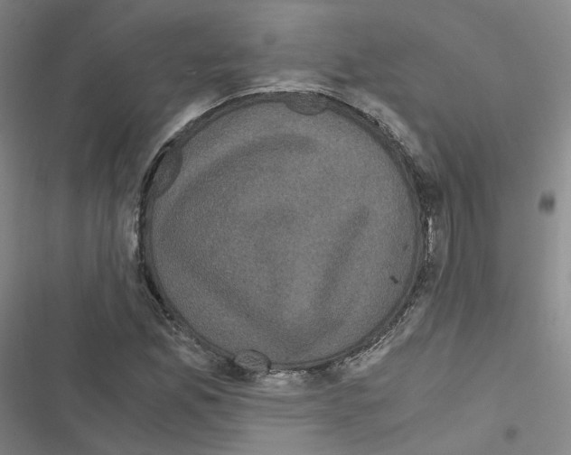 X0000116481165201001201336