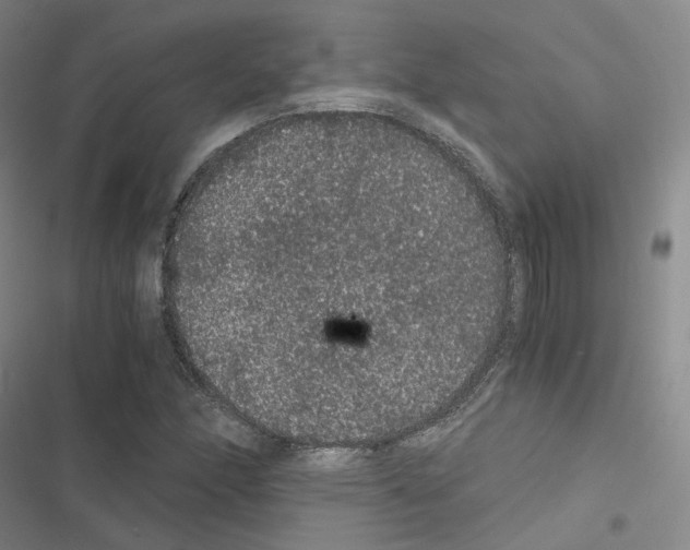 X0000116481166201001201336