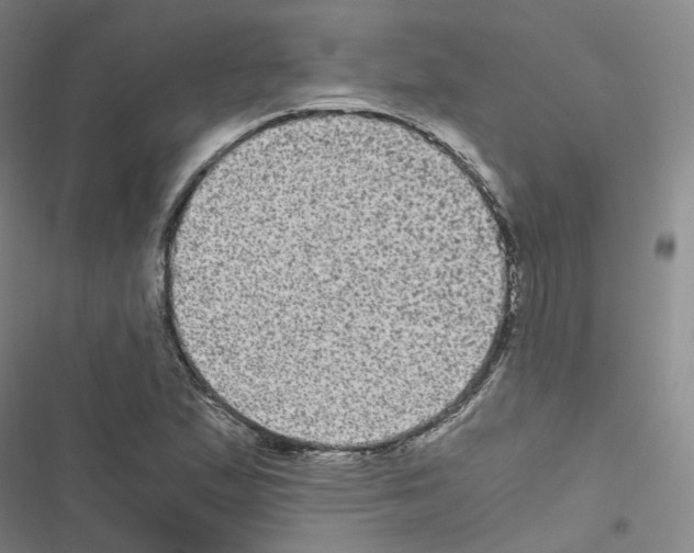 X0000116481167201001201336