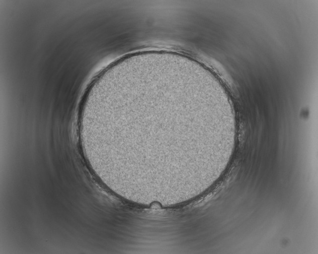 X0000116481172201001201336