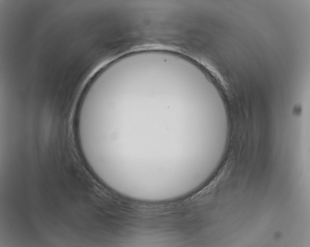 X0000116481173201001201336