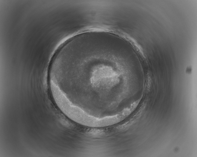 X0000116481174201001201336