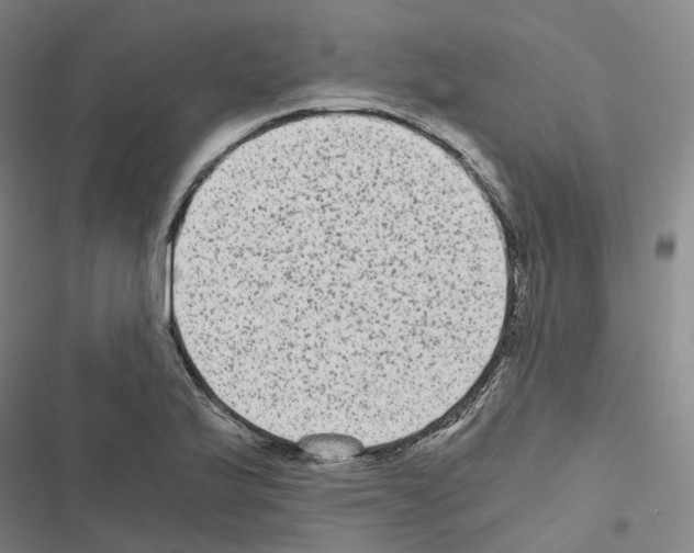 X0000116481175201001201336