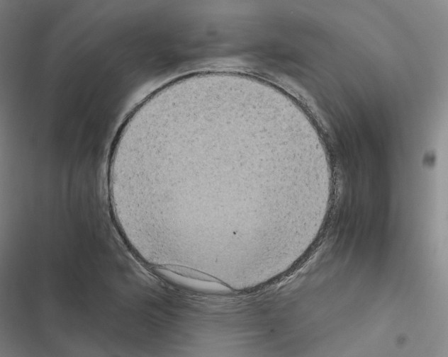 X0000116481176201001201336