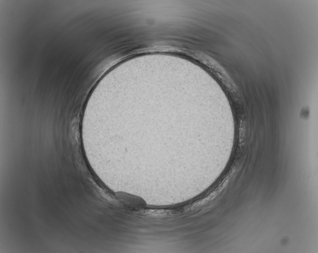 X0000116481177201001201336