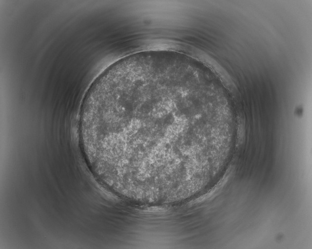 X0000116481178201001201336