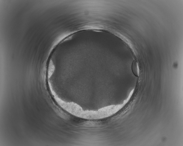 X0000116481179201001201336