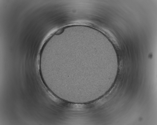 X0000116481180201001201336