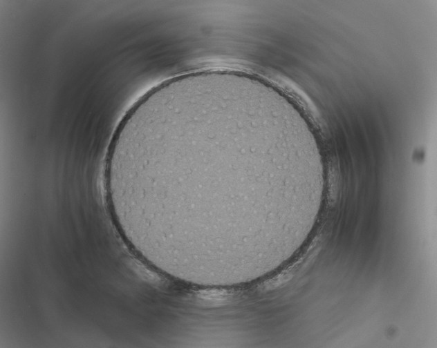 X0000116481182201001201336