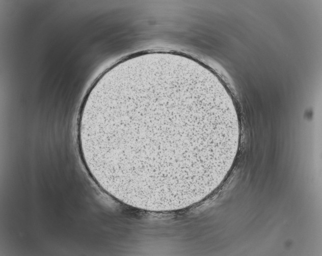 X0000116481183201001201336