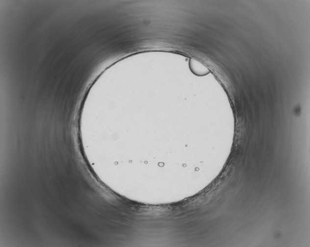 X0000116481187201001201336