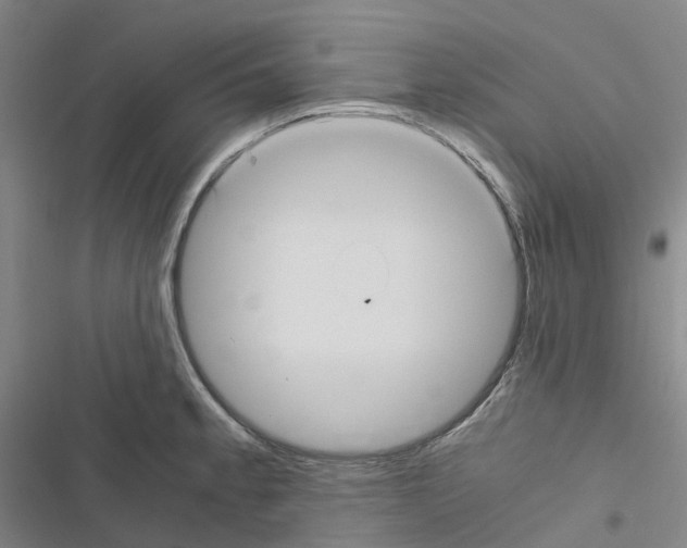 X0000116481189201001201336