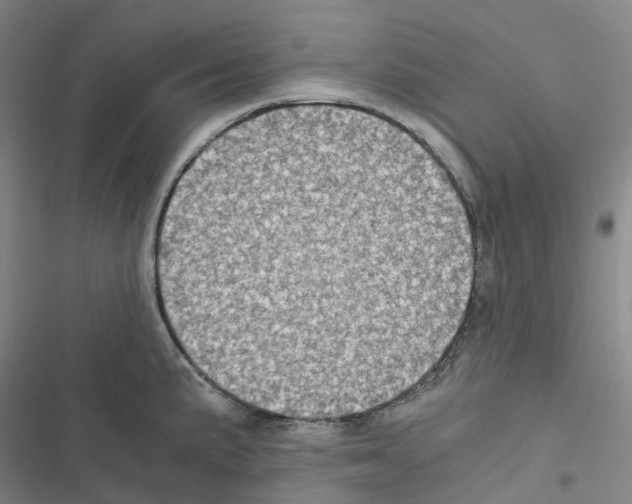 X0000116481191201001201336