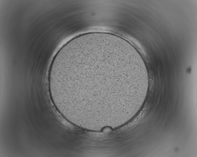 X0000116481192201001201336