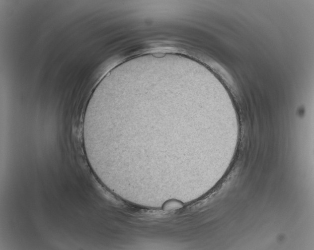 X0000116481193201001201336