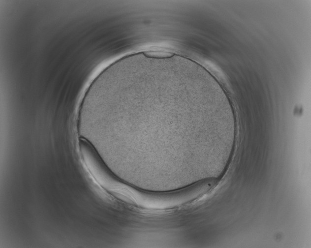 X0000116481200201001201336