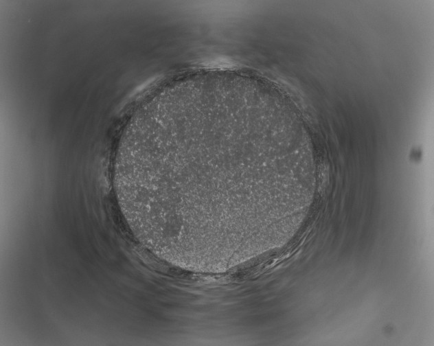 X0000116481205201001201335