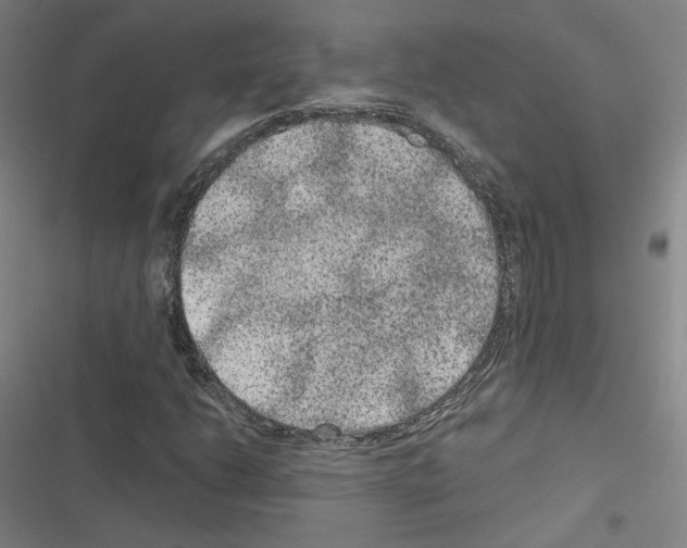 X0000116481206201001201335