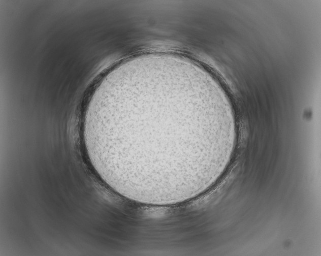 X0000116481211201001201335