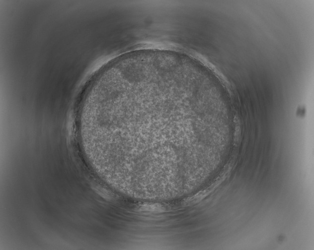 X0000116481215201001201335