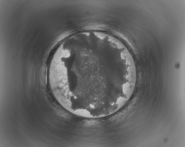 X0000116481219201001201335