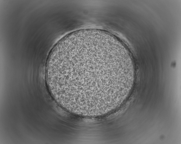 X0000116481220201001201335