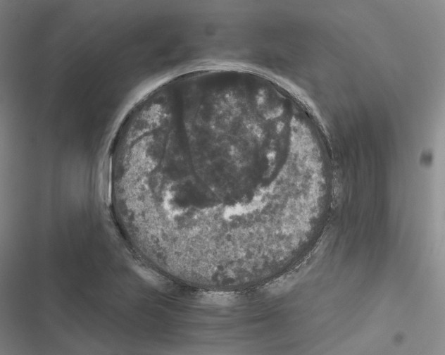 X0000116481223201001201335