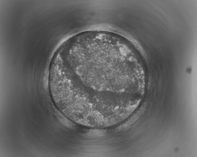 X0000116481224201001201335