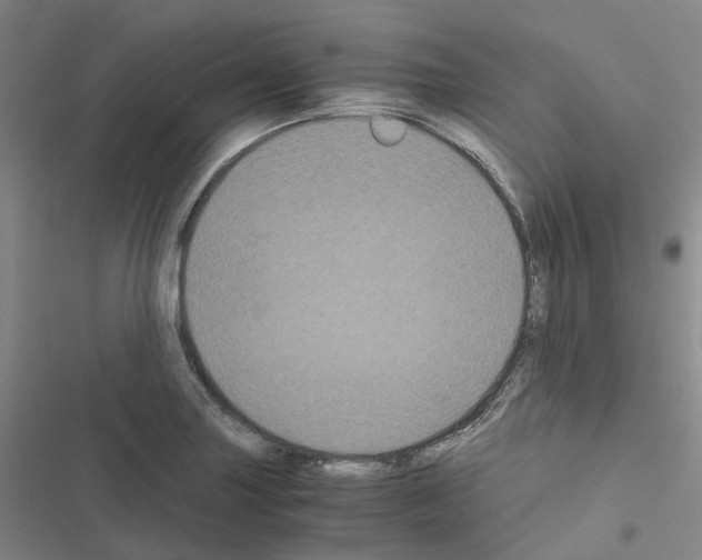 X0000116481227201001201335