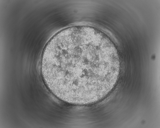 X0000116481228201001201335