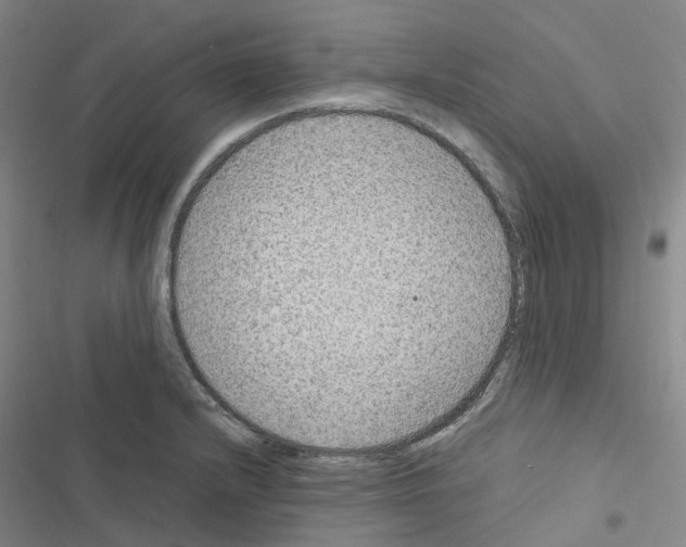 X0000116481232201001201335