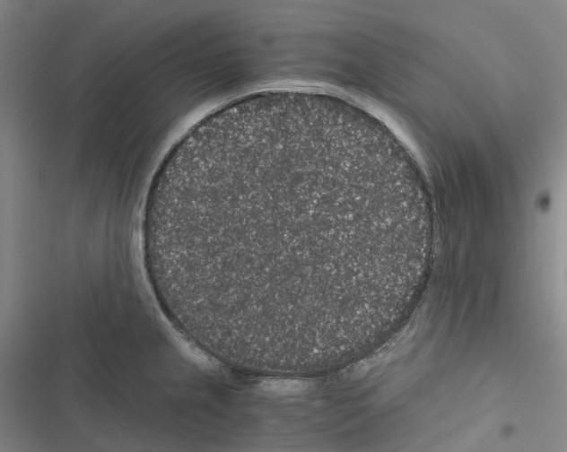 X0000116481237201001201335