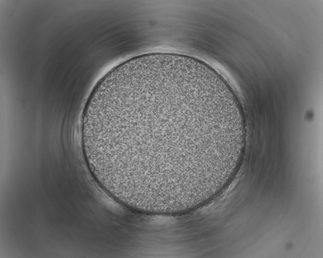 X0000116481238201001201335