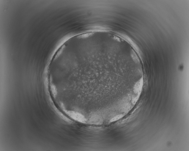 X0000116481243201001201335