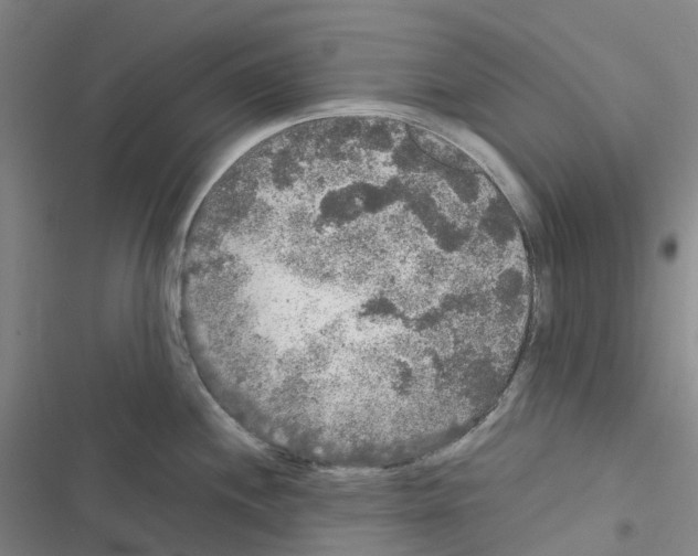 X0000116481244201001201336