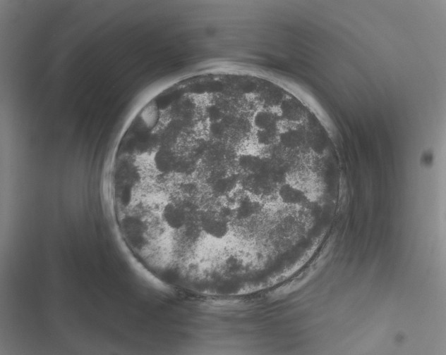 X0000116481247201001201336