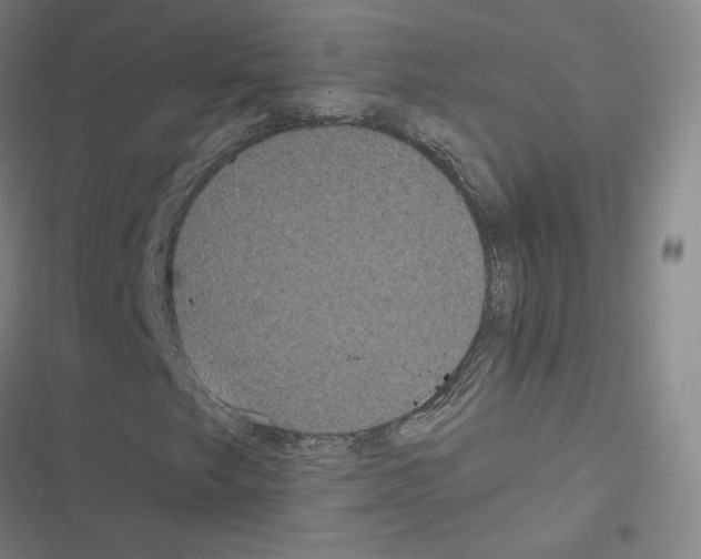 X0000116481249201001201335