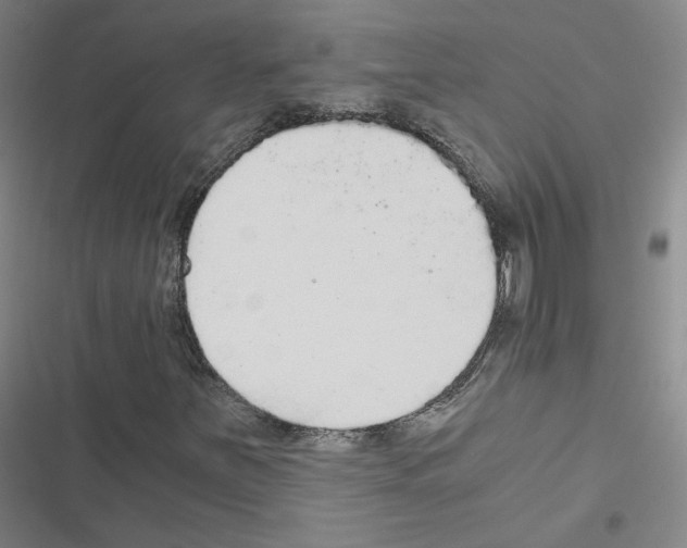 X0000116481251201001201335