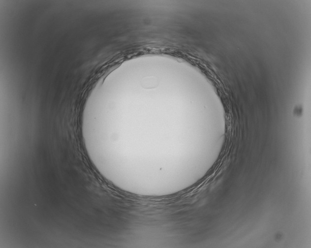 X0000116481253201001201335