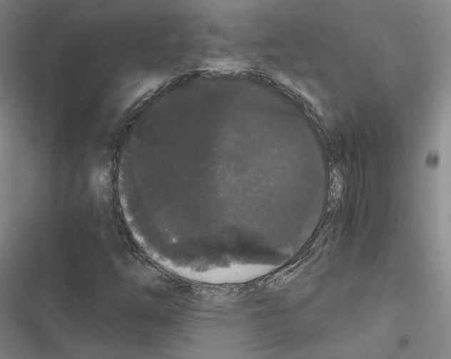 X0000116481254201001201335