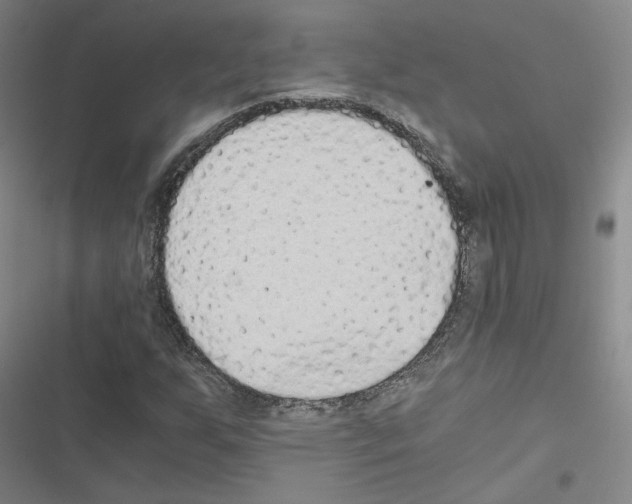 X0000116481255201001201335