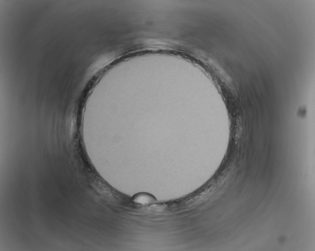 X0000116481261201001201335