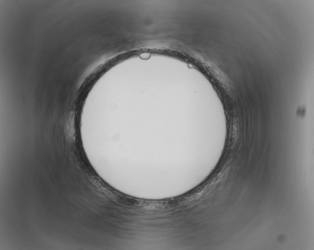 X0000116481262201001201335