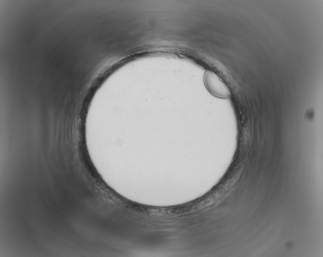 X0000116481267201001201335