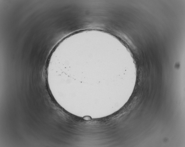 X0000116481268201001201335