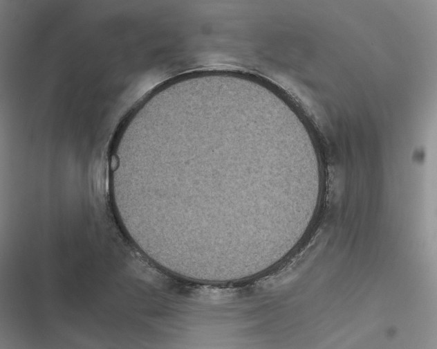 X0000116481269201001201335