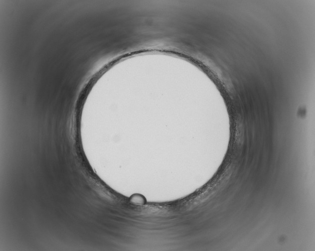 X0000116481270201001201335