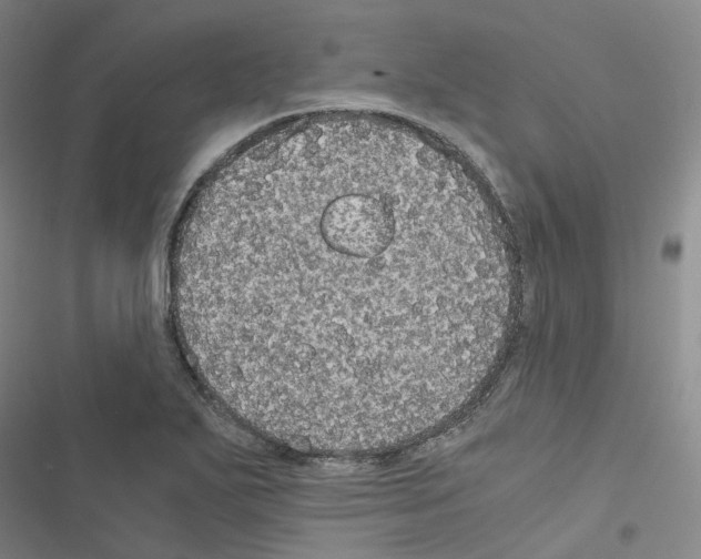 X0000116481271201001201335